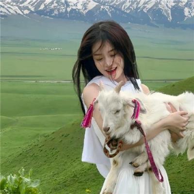 幽游白书:冥界决斗篇